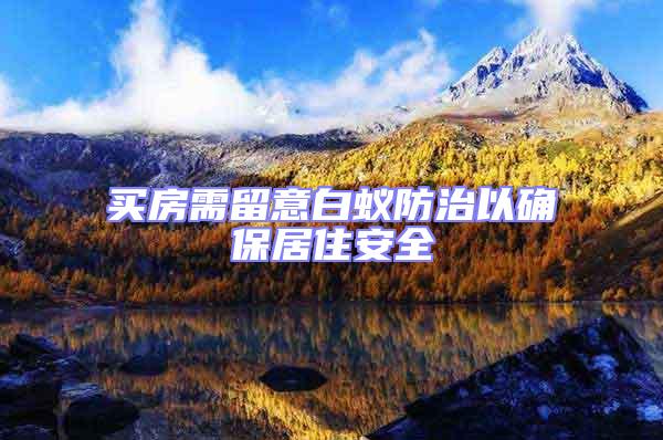 買房需留意白蟻防治以確保居住安全