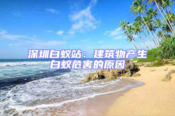 深圳白蟻站：建筑物產(chǎn)生白蟻危害的原因