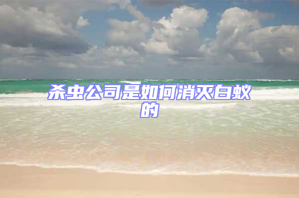 殺蟲(chóng)公司是如何消滅白蟻的