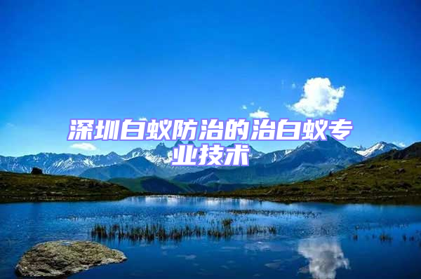 深圳白蟻防治的治白蟻專(zhuān)業(yè)技術(shù)