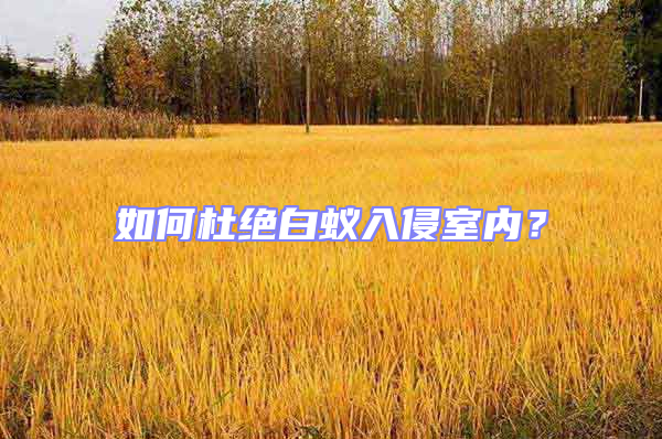 如何杜絕白蟻入侵室內？