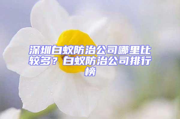 深圳白蟻防治公司哪里比較多？白蟻防治公司排行榜