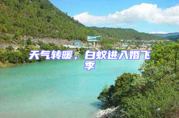 天氣轉(zhuǎn)暖，白蟻進(jìn)入婚飛季