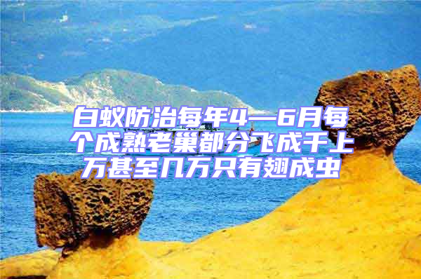 白蟻防治每年4—6月每個成熟老巢都分飛成千上萬甚至幾萬只有翅成蟲