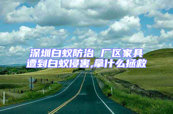 深圳白蟻防治 廠區(qū)家具遭到白蟻侵害,拿什么拯救