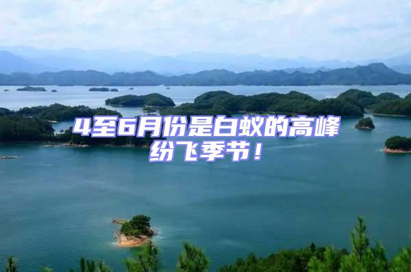 4至6月份是白蟻的高峰紛飛季節！