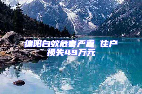 綿陽白蟻危害嚴重 住戶損失49萬元