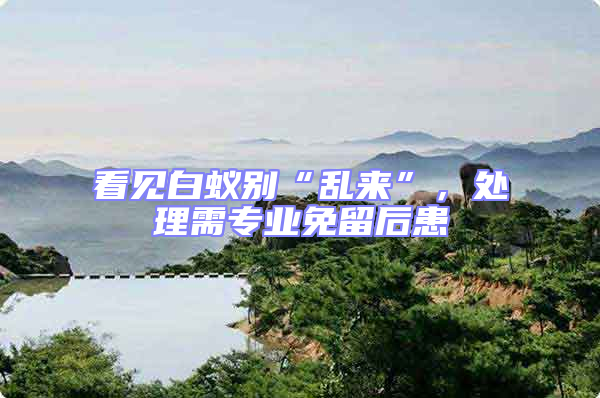 看見白蟻別“亂來”，處理需專業(yè)免留后患