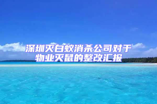 深圳滅白蟻消殺公司對于物業滅鼠的整改匯報