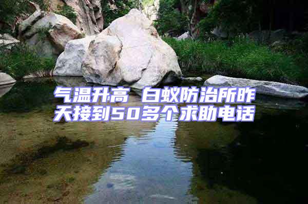 氣溫升高 白蟻防治所昨天接到50多個求助電話