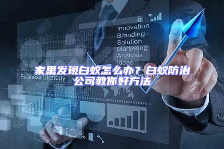 家里發(fā)現(xiàn)白蟻怎么辦？白蟻防治公司教你好方法
