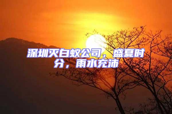 深圳滅白蟻公司，盛夏時(shí)分，雨水充沛