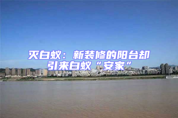 滅白蟻：新裝修的陽臺(tái)卻引來白蟻“安家”