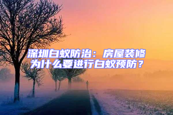 深圳白蟻防治：房屋裝修為什么要進行白蟻預防？