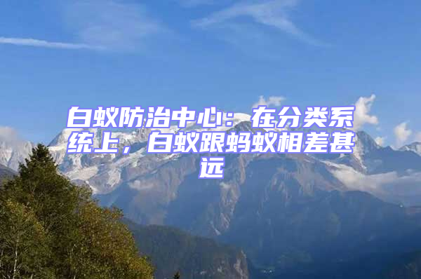 白蟻防治中心：在分類系統(tǒng)上，白蟻跟螞蟻相差甚遠
