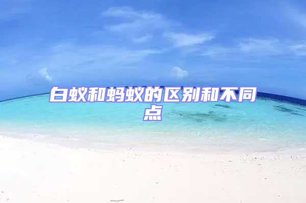 白蟻和螞蟻的區別和不同點