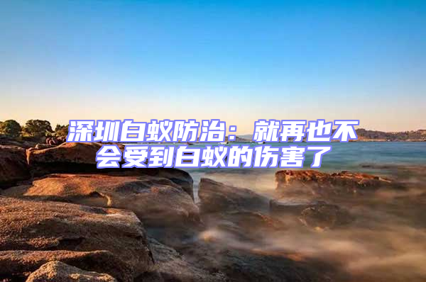 深圳白蟻防治：就再也不會受到白蟻的傷害了