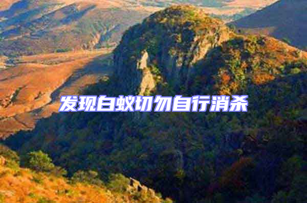 發(fā)現(xiàn)白蟻切勿自行消殺