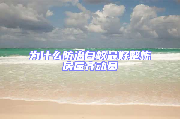 為什么防治白蟻?zhàn)詈谜麠澐课蔟R動(dòng)員