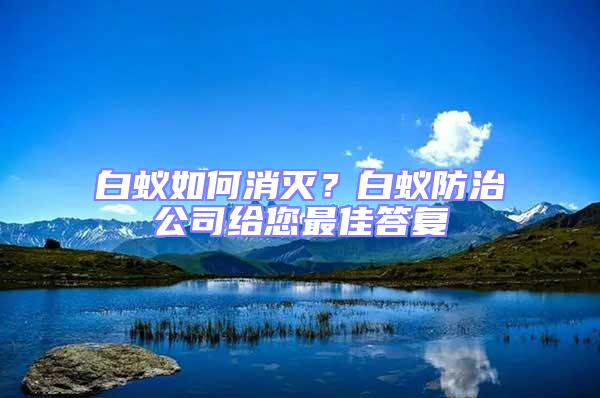 白蟻如何消滅？白蟻防治公司給您最佳答復
