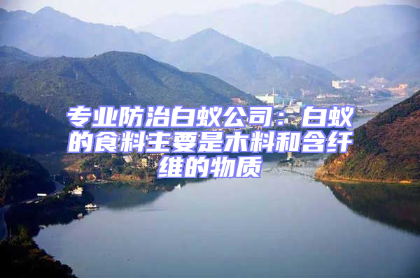 專業防治白蟻公司：白蟻的食料主要是木料和含纖維的物質