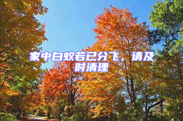 家中白蟻若已分飛，請及時(shí)清理