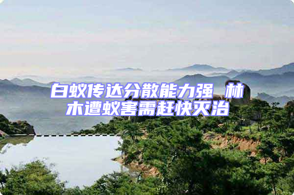 白蟻傳達分散能力強 林木遭蟻害需趕快滅治