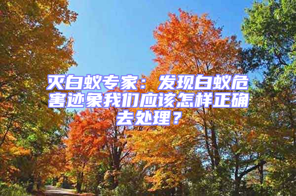 滅白蟻專家：發(fā)現(xiàn)白蟻危害跡象我們應(yīng)該怎樣正確去處理？