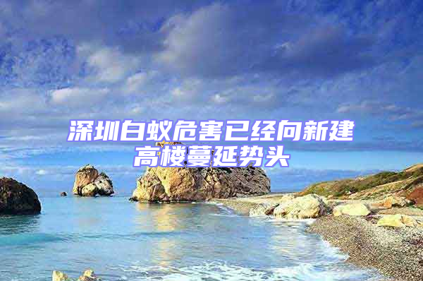 深圳白蟻危害已經向新建高樓蔓延勢頭