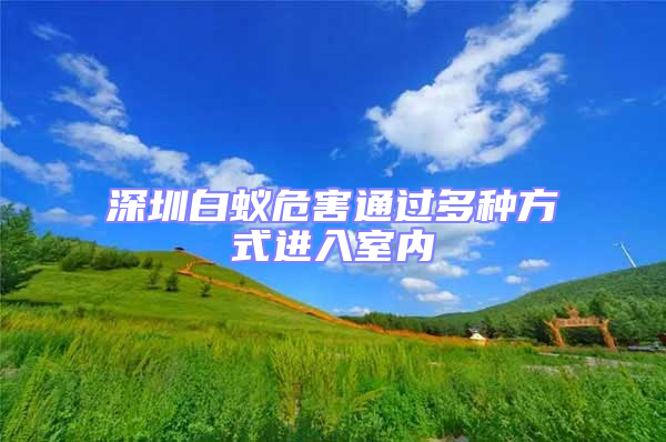 深圳白蟻危害通過多種方式進入室內(nèi)