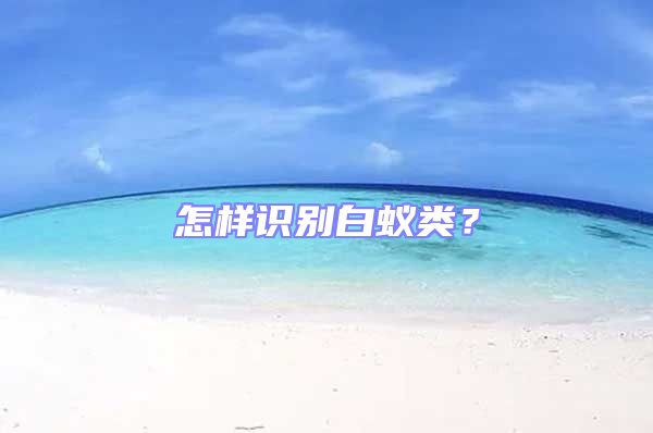 怎樣識別白蟻類？