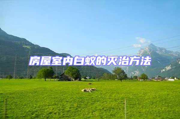 房屋室內白蟻的滅治方法