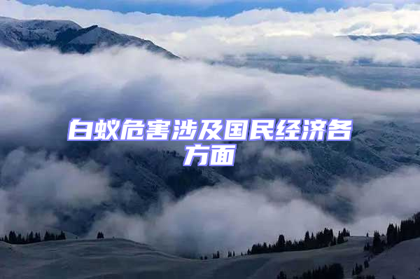 白蟻危害涉及國民經濟各方面