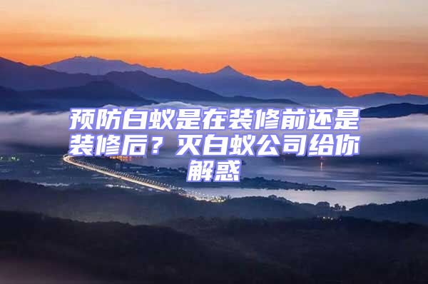 預防白蟻是在裝修前還是裝修后？滅白蟻公司給你解惑