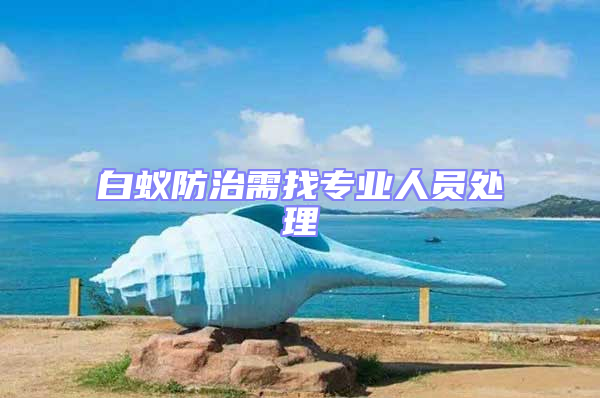 白蟻防治需找專業人員處理