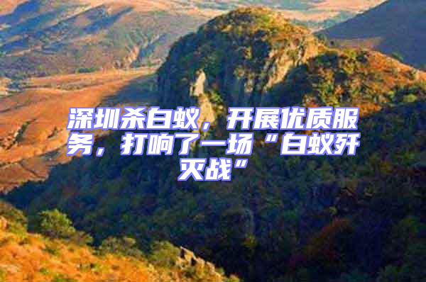 深圳殺白蟻，開展優質服務，打響了一場“白蟻殲滅戰”