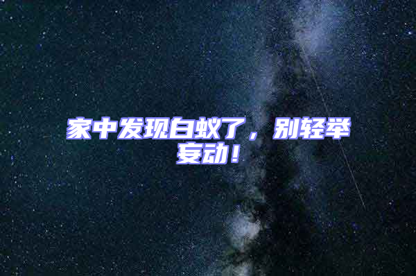 家中發(fā)現(xiàn)白蟻了，別輕舉妄動(dòng)！