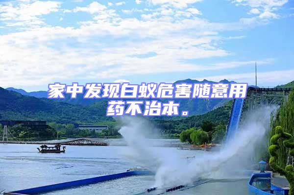 家中發現白蟻危害隨意用藥不治本。