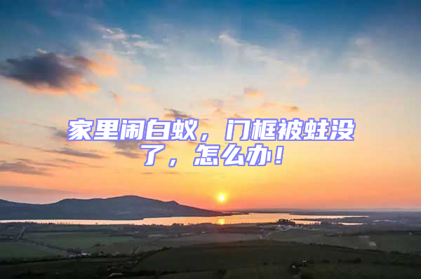 家里鬧白蟻，門框被蛀沒了，怎么辦！