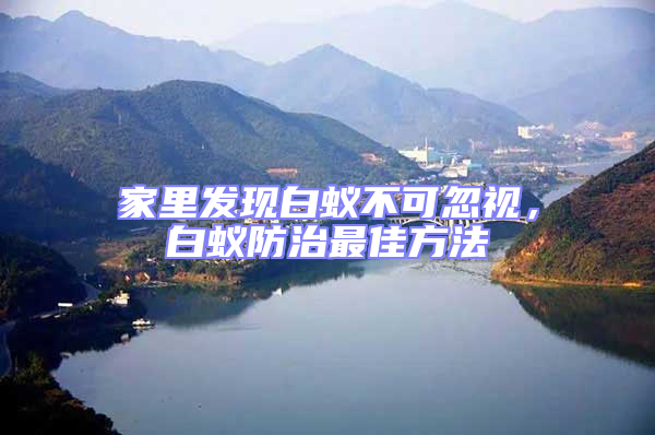 家里發現白蟻不可忽視，白蟻防治最佳方法