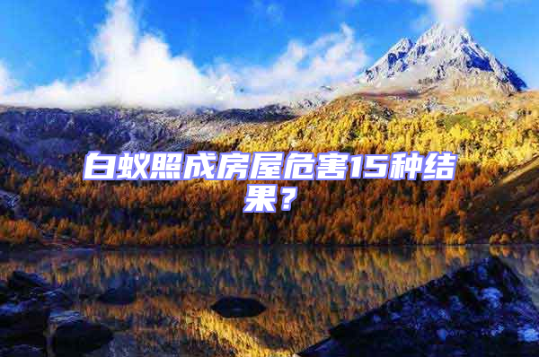 白蟻照成房屋危害15種結果？