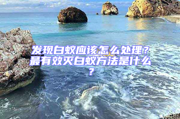 發現白蟻應該怎么處理？最有效滅白蟻方法是什么？