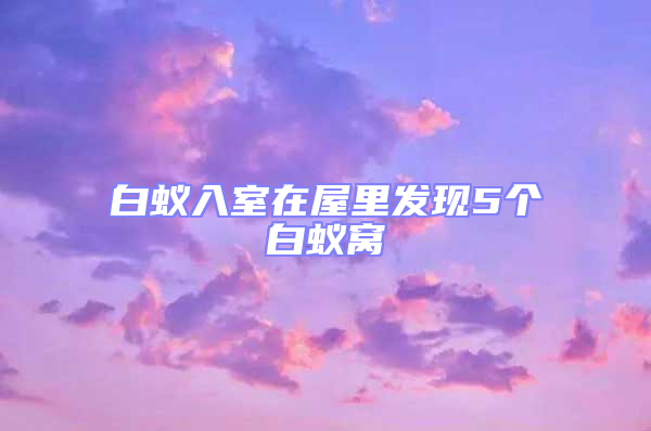 白蟻入室在屋里發現5個白蟻窩