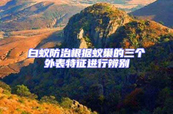 白蟻防治根據(jù)蟻巢的三個(gè)外表特征進(jìn)行辨別